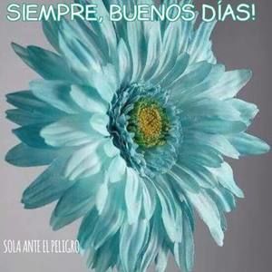 Meet your Posher, Tomasa